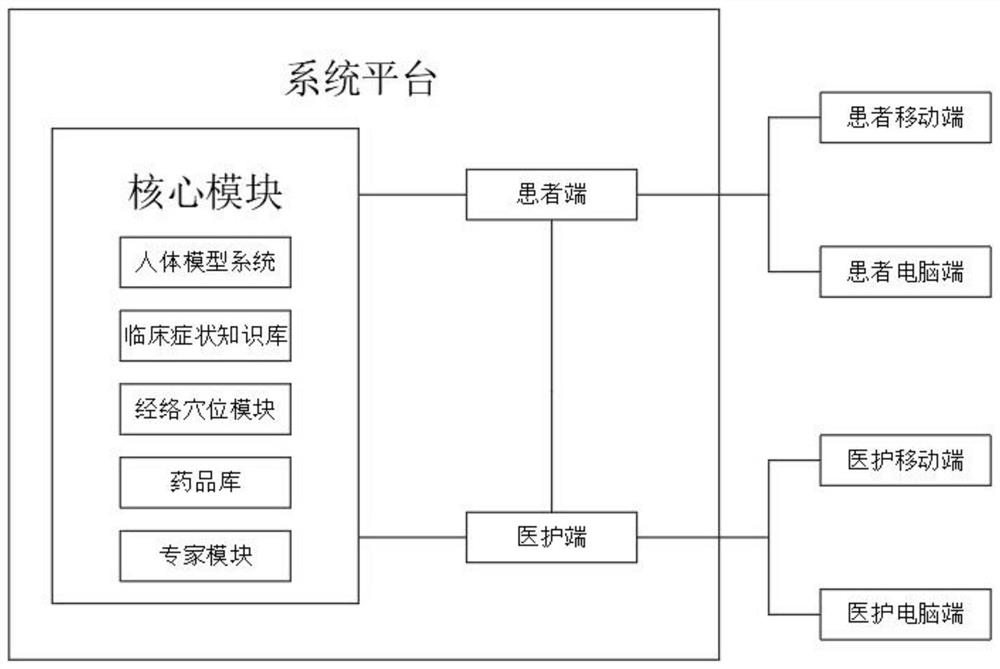 Clinical diagnosis and drug use analysis system based on traditional Chinese medicine knowledge