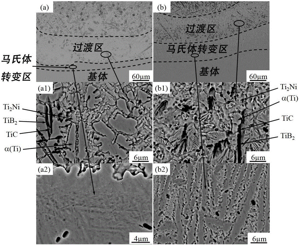 In-situ synthesis TiB2/TiC reinforced Ti2Ni/TiNi biphase metal compound base composite coating and preparation method