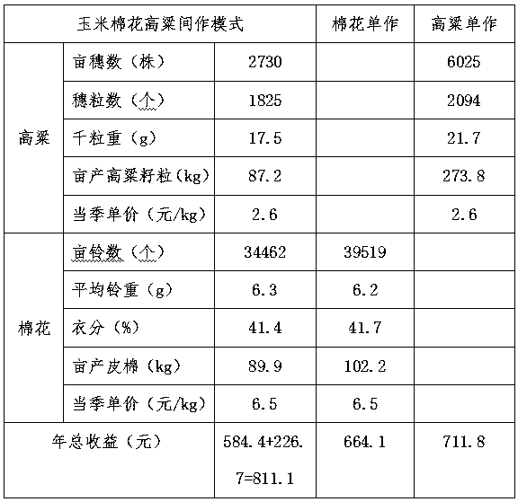 High-efficiency planting mode of intercropping in saline-alkali soil in middle-severe chloride salt sandy soil in the Yellow River Delta