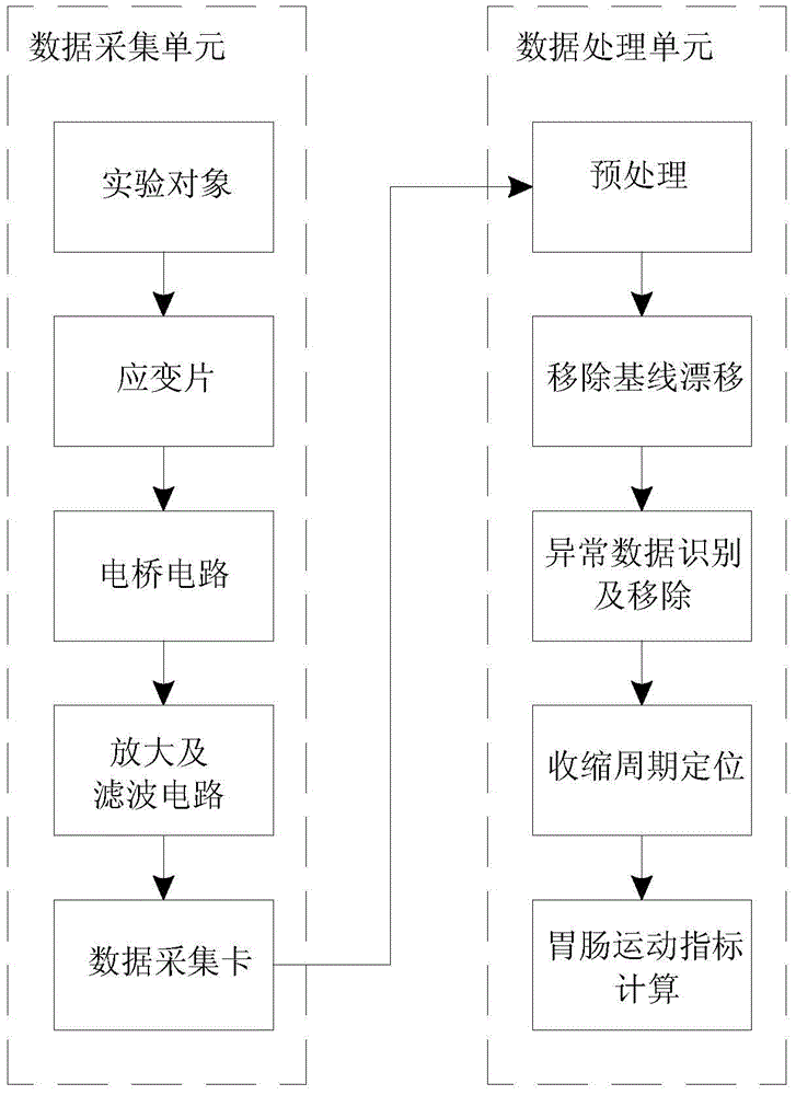 System and method for processing animal gastrointestinal motility signal