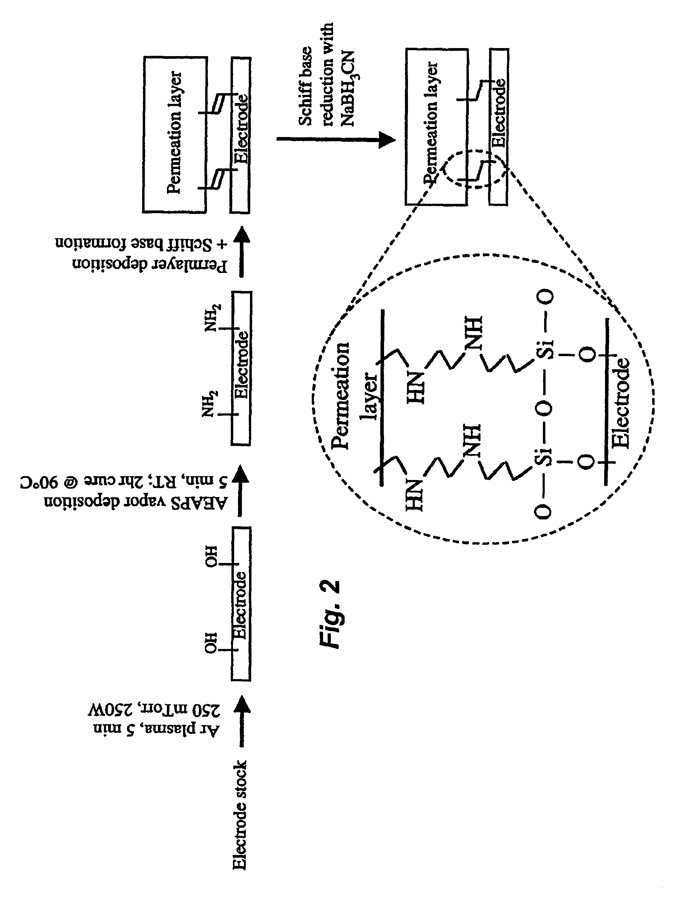 Platinum silicide permeation layer device with microlocations