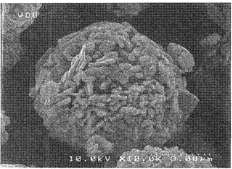 Sintered lithium complex oxide