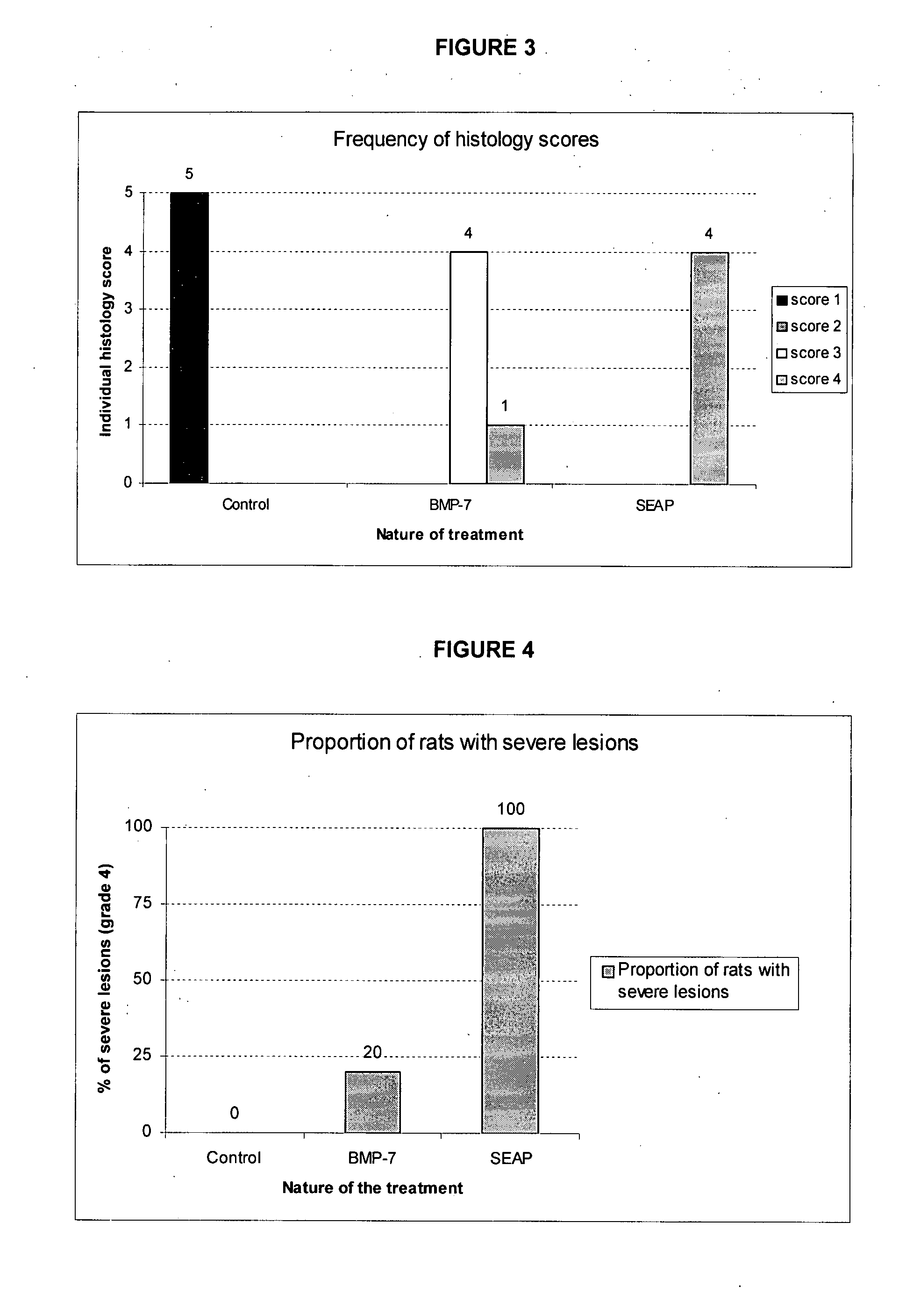 Intra-vascular kidney gene therapy with plasmid encoding BMP-7