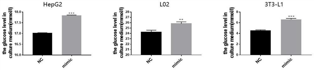 MicroRNA related to type 2 diabetes mellitus, and application thereof