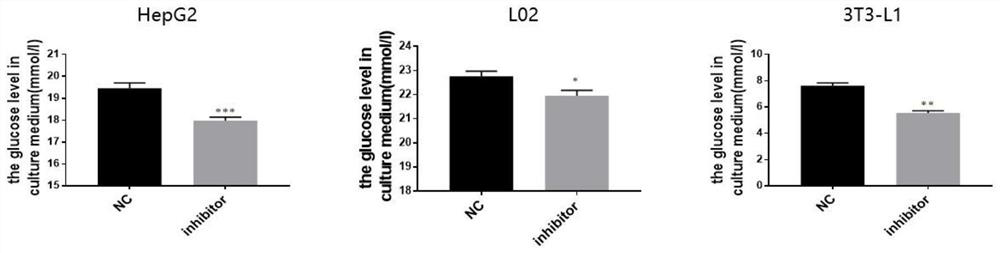 MicroRNA related to type 2 diabetes mellitus, and application thereof