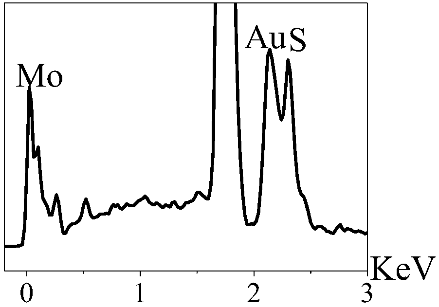 A kind of nanometer material and preparation method based on molybdenum sulfide efficient photocatalysis to prepare hydrogen