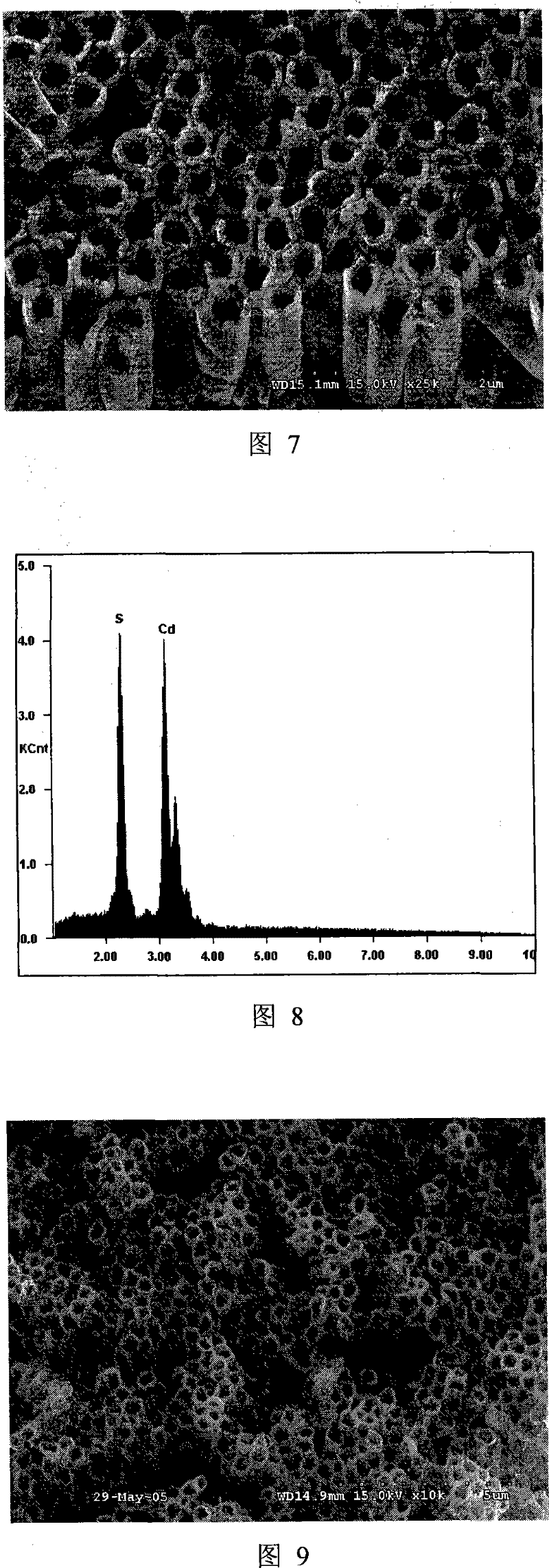 Method for preparing inorganic nano-tube by employing porous templates