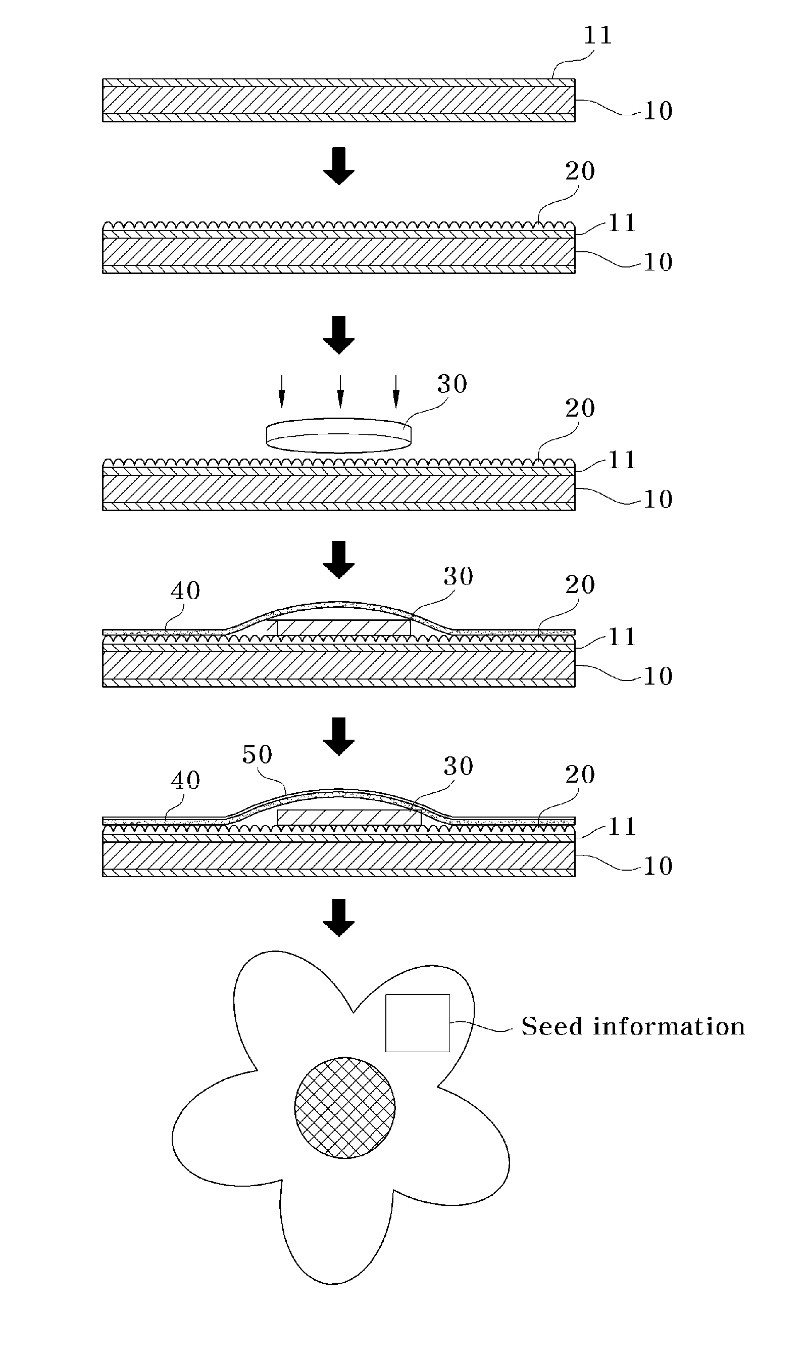 Seed sticker and method for manufacturing the same