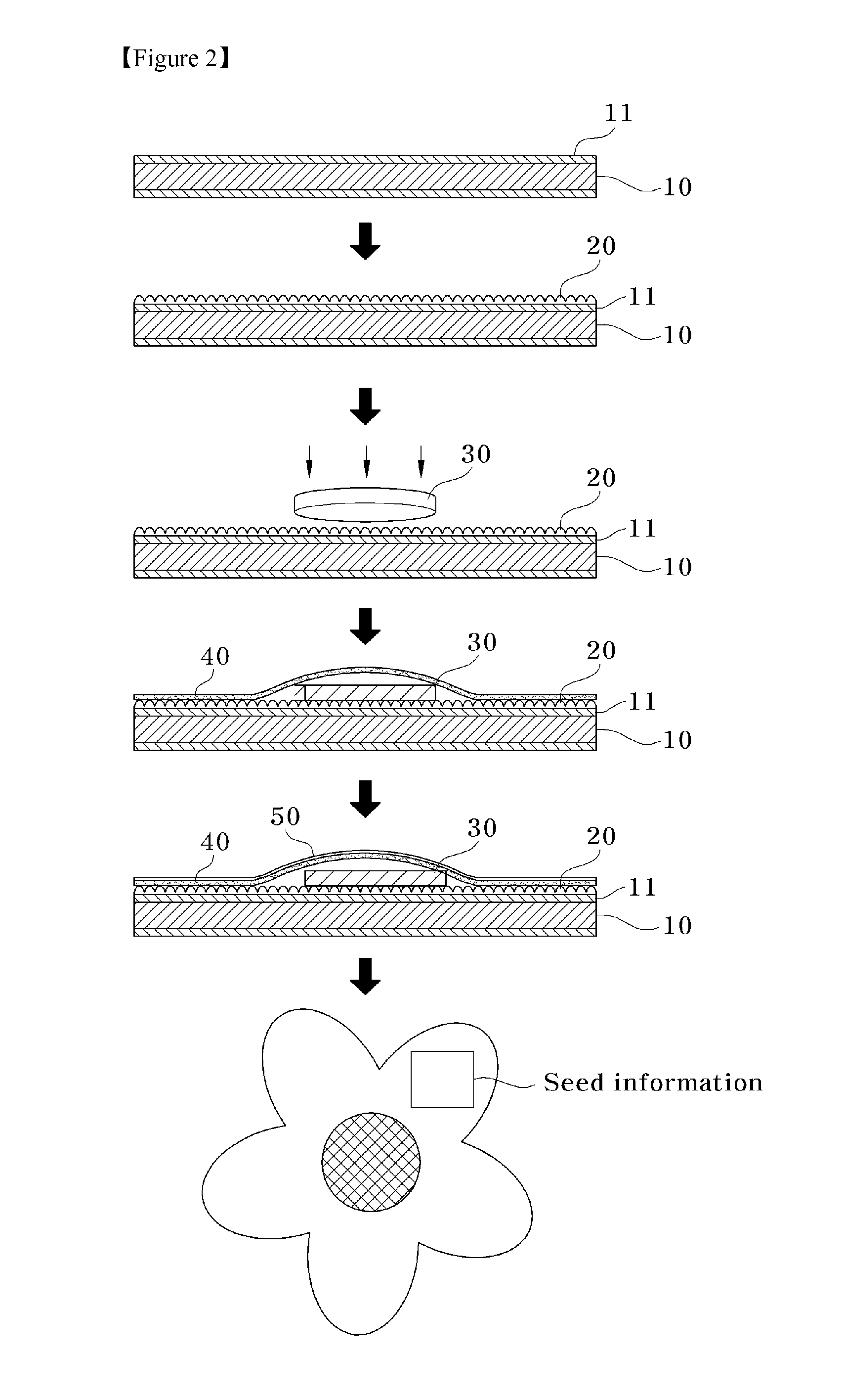 Seed sticker and method for manufacturing the same
