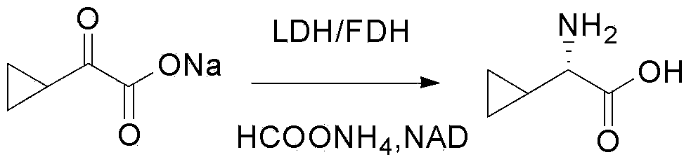 L-cyclic alkylamino acid synthesis method and medicinal composition containing L-cyclic alkylamino acid