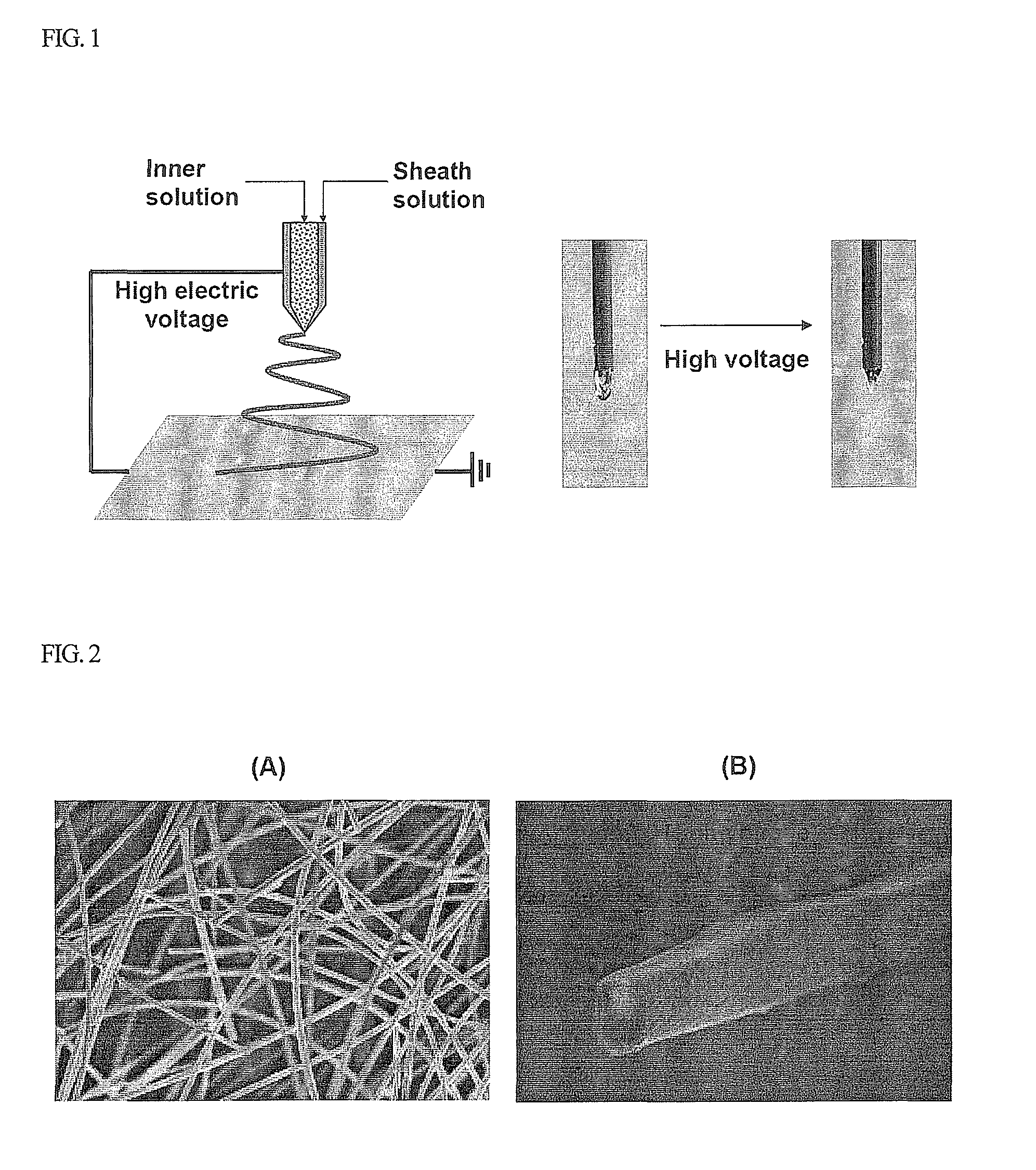 Dental composition containing organic nanotube