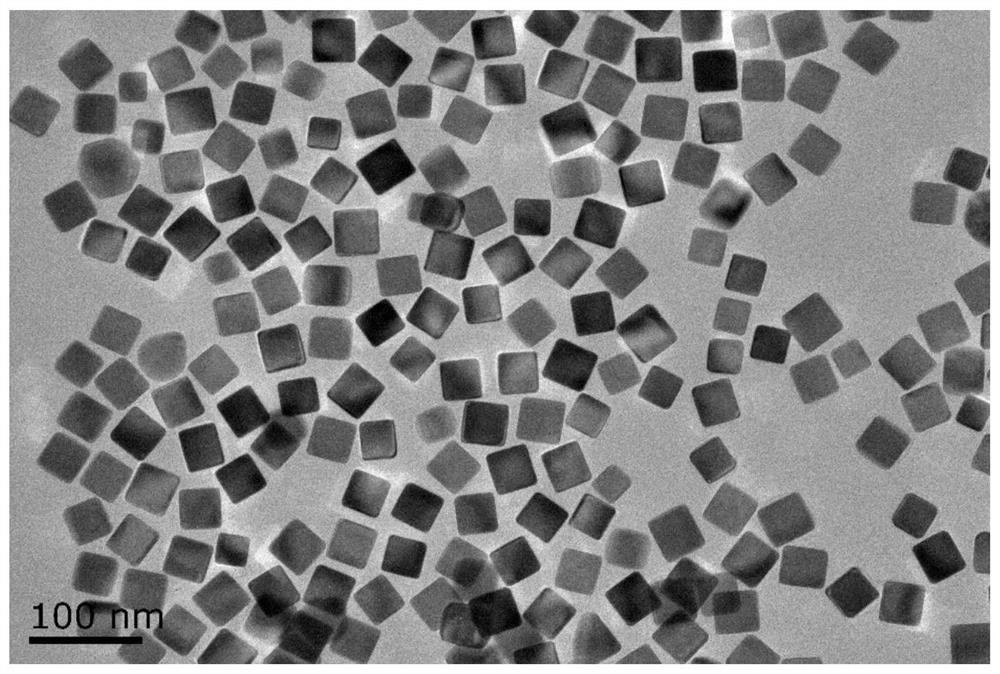 A kind of preparation method of photothermal gold nanomaterial