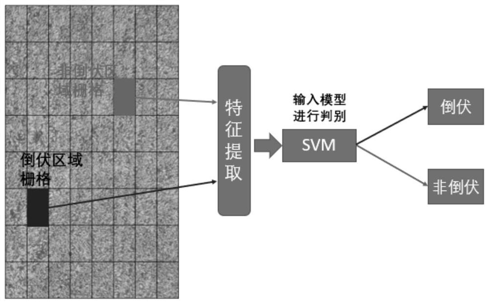 Wheat lodging region identification method based on spectral texture features and support vector machine