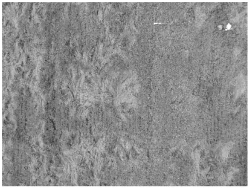 Wheat lodging region identification method based on spectral texture features and support vector machine