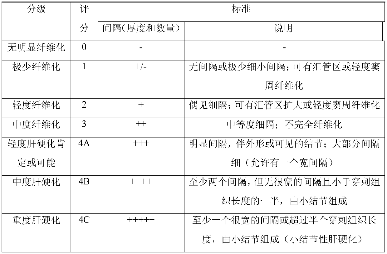 A method for establishing a rhesus monkey liver fibrosis model by intraperitoneal injection