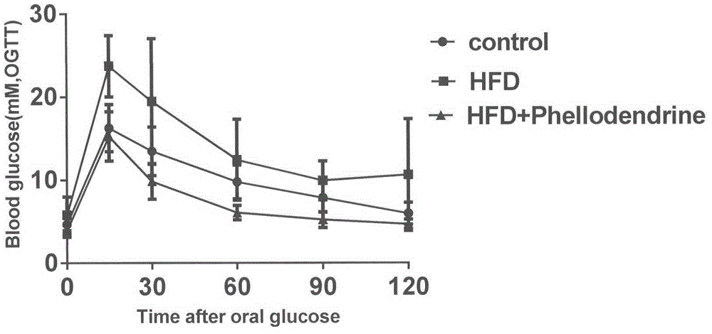 Application of isoquinoline alkaloid to prevention or treatment of diabetes