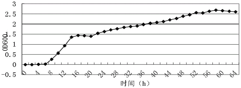 Bacillus subtilis K13, and culture method and application thereof