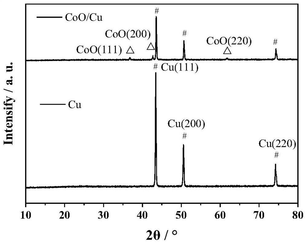 Device and method for preparing ammonium bicarbonate by using carbon dioxide waste gas and nitrate wastewater