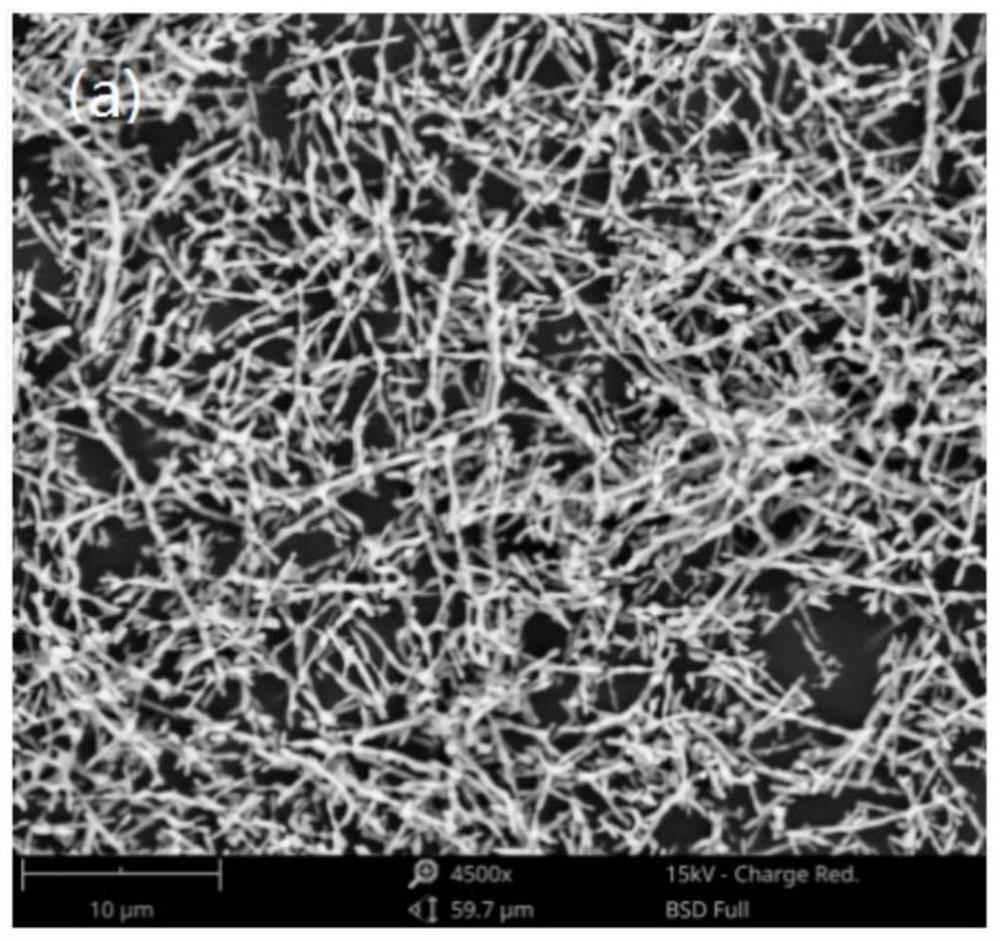 Perovskite type medium-temperature solid oxide fuel cell nanofiber cathode material and preparation method thereof