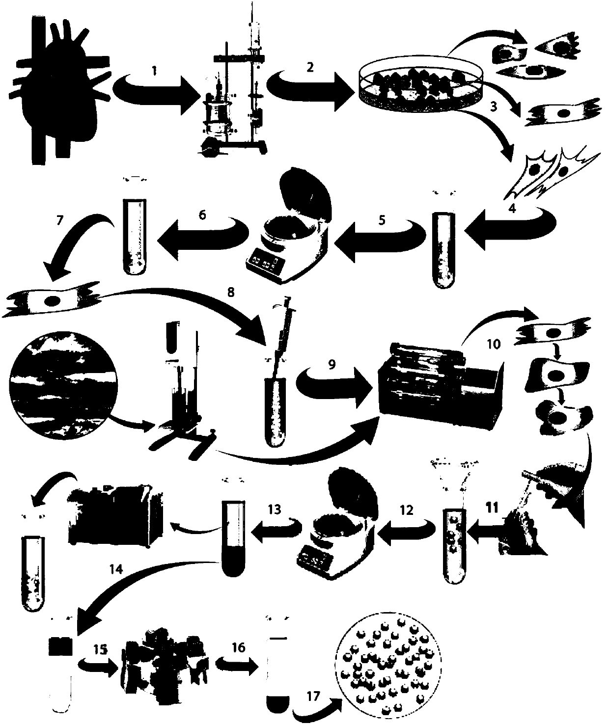 Cell nucleus extraction method