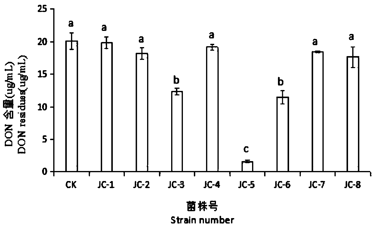 Screening and identification of microorganism for degradation of deoxynivalenol (DON) in feeds