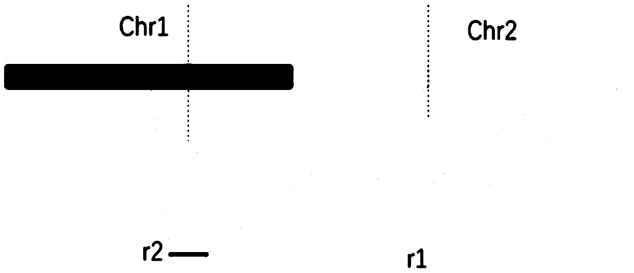 Method for determining chromosome structure variation signal intensity and insert fragment length distribution characteristics of sample, and application thereof