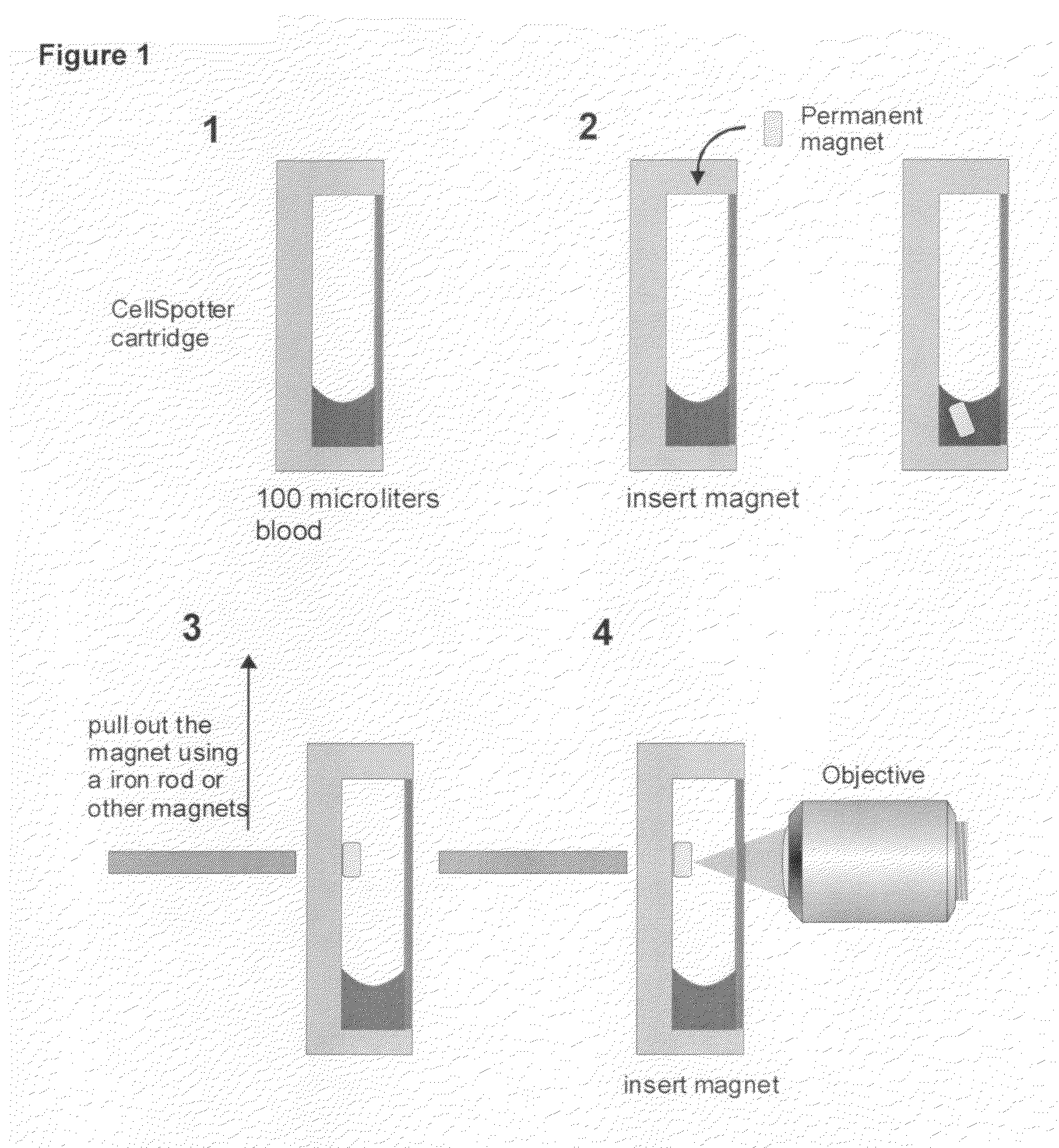 Method and apparatus for imaging target components in a biological sample using permanent magnets