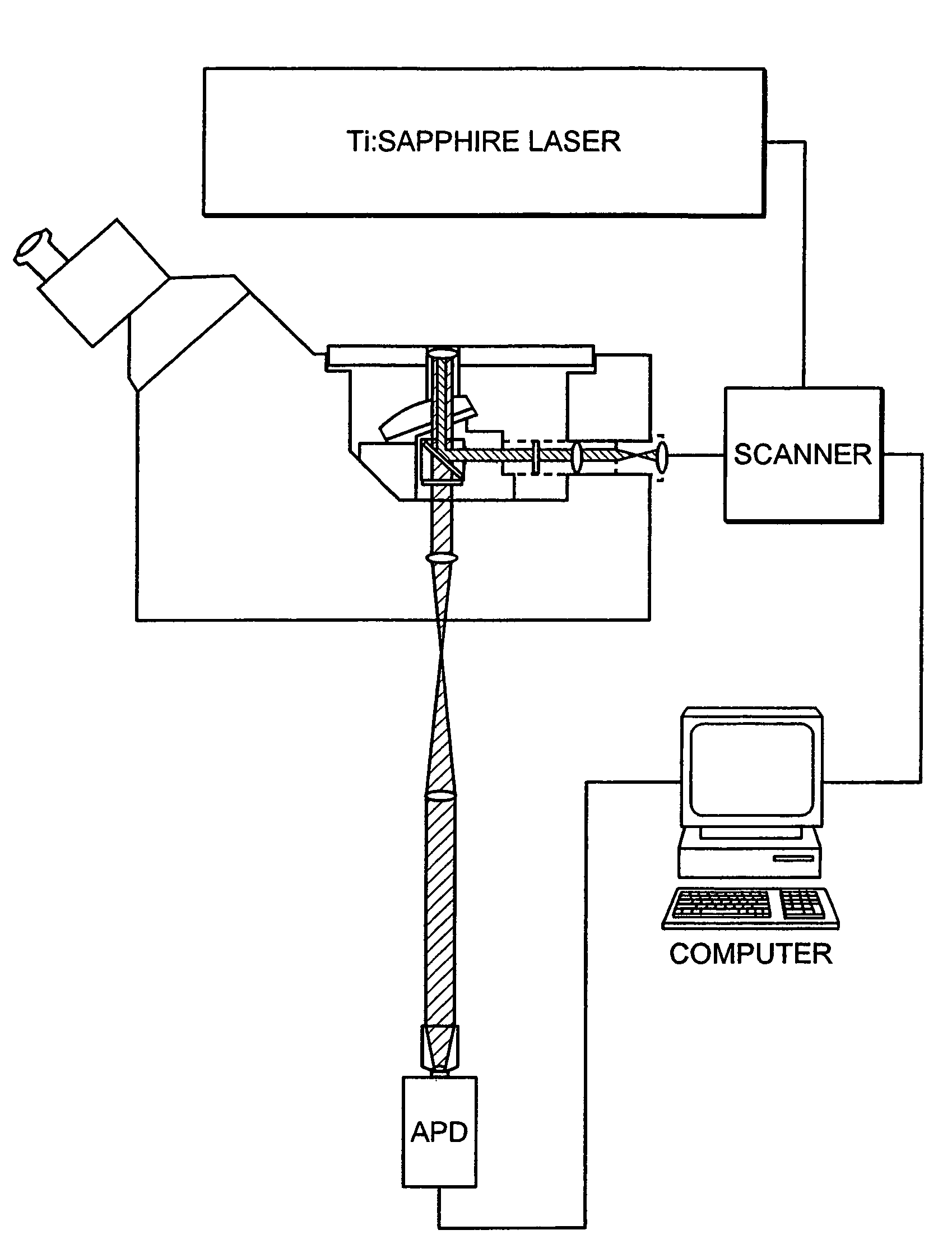 Apparatus for three-dimensional optical data storage and retrieval