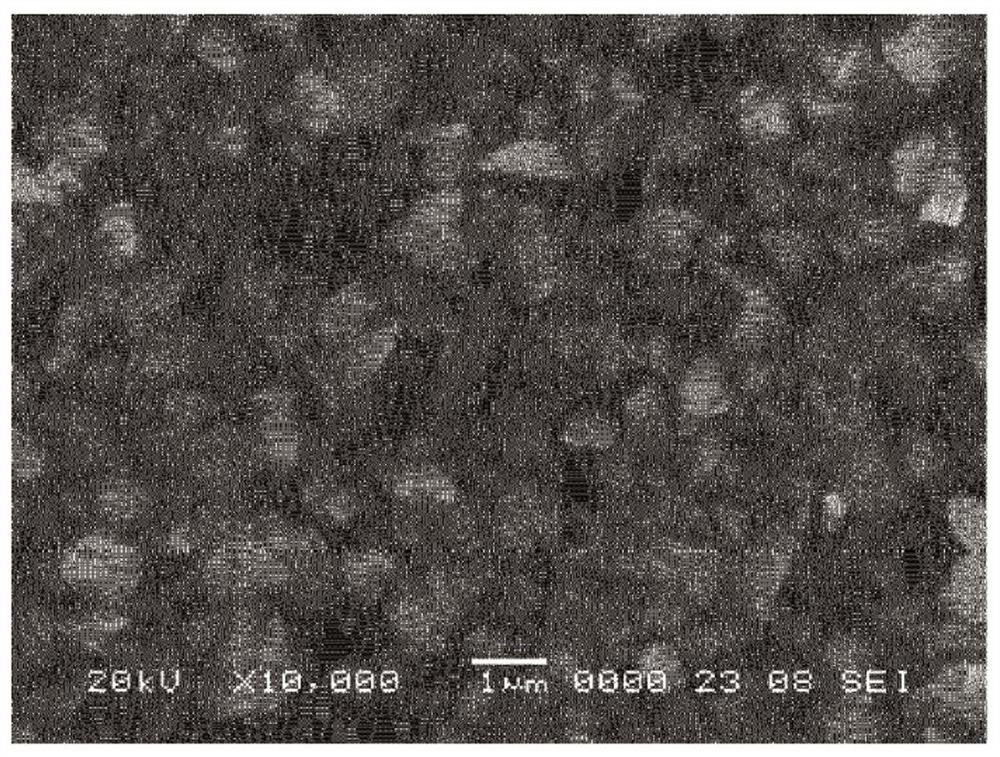 Method for producing metal particle composition, and metal particle composition