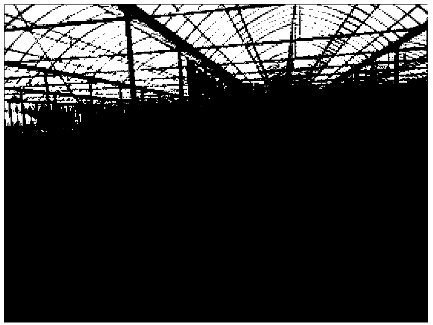 Method for planting fruit trees through root controllers in facility