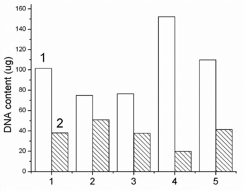 Quick batch preparation method of cotton genome DNA (deoxyribonucleic acid) suitable for PCR (polymerase chain reaction)