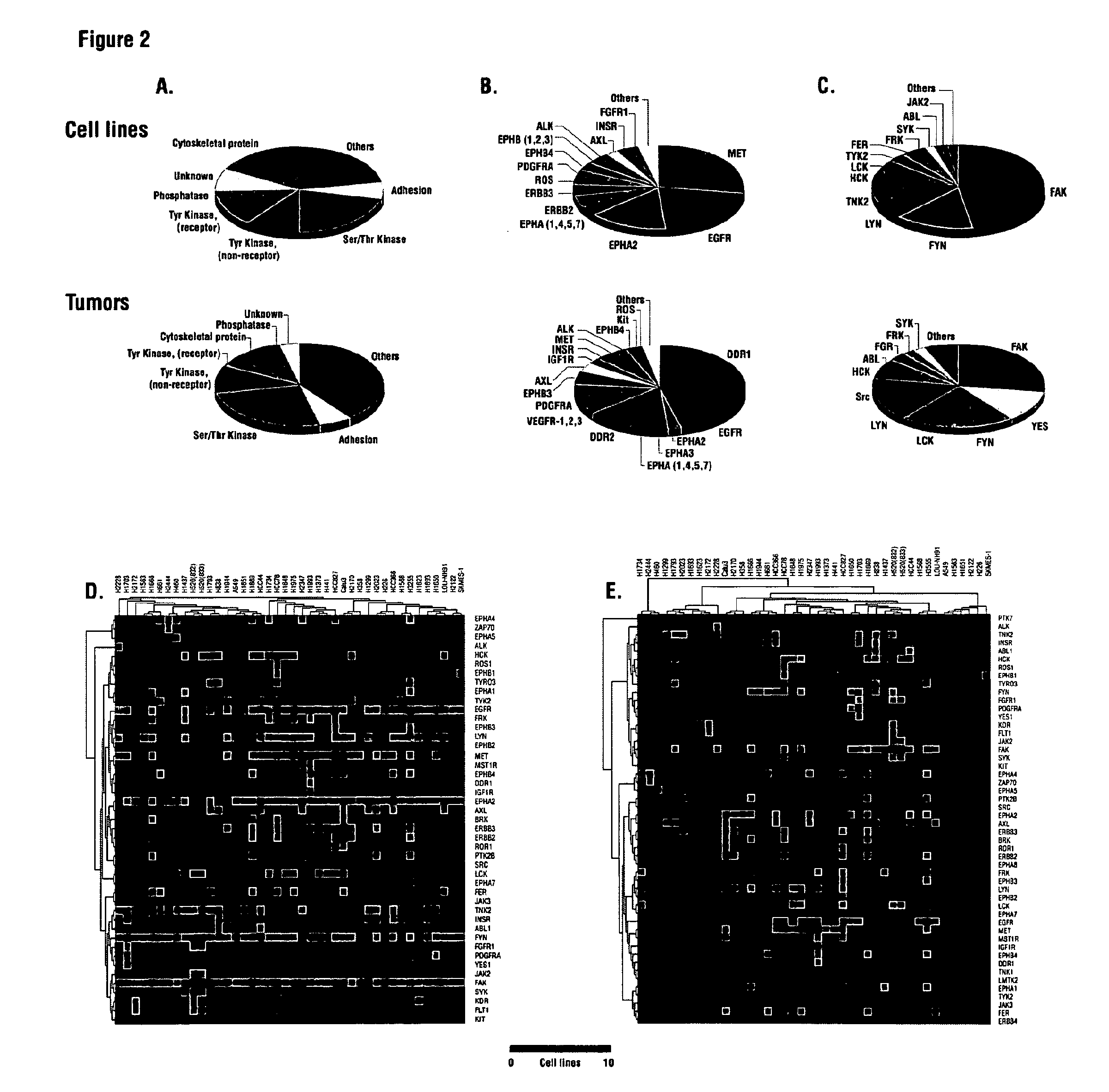 Cancer Classification and Methods of Use