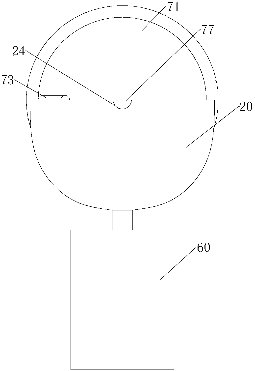 Quantitative feeding device for live pigs