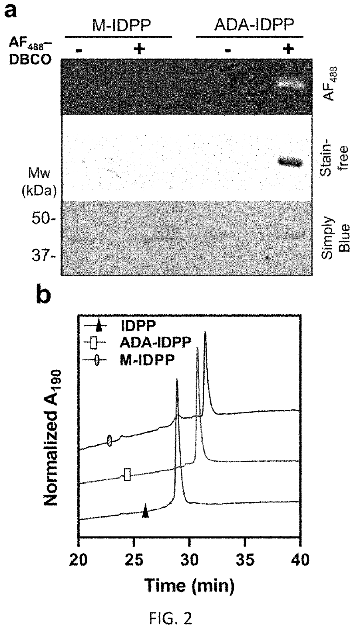 Non-canonical lipoproteins with programmable assembly and architecture