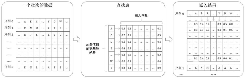 Polypeptide anticancer function identification method, system, medium and equipment