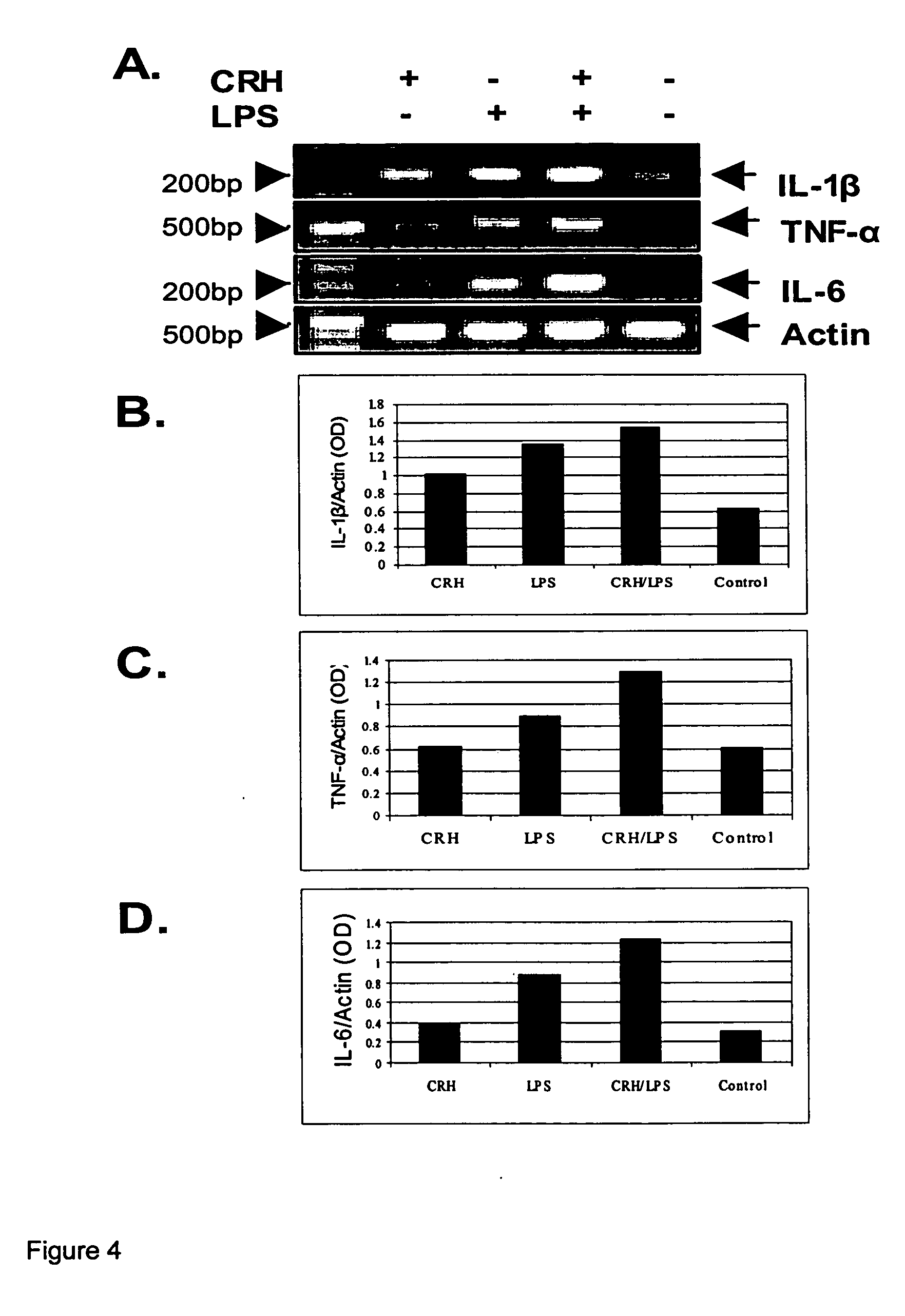 Use of the crh (corticotropin releasing hormone)-ucn (urocortin) system in the treatment of inflammatory diseases