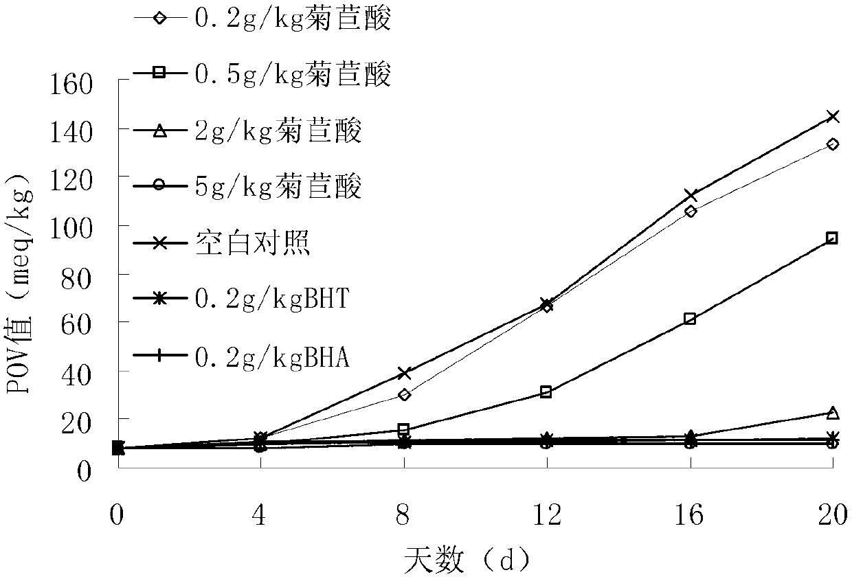 Application of chicoric acid extract in echinacea purpurea