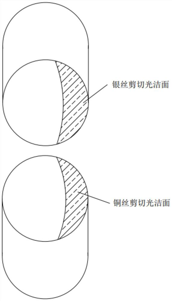 Rivet forming device and rivet forming method