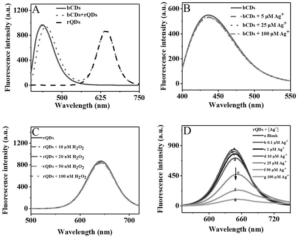 Ratiometric fluorescent probe for visually and quantitatively detecting lactic acid and application of ratiometric fluorescent probe