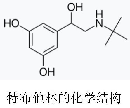 Terbutaline derivative D as well as preparation method and application thereof