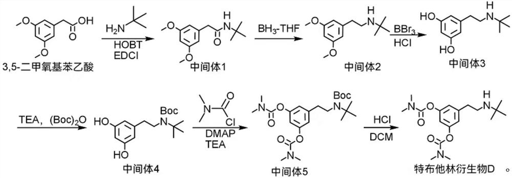 Terbutaline derivative D as well as preparation method and application thereof