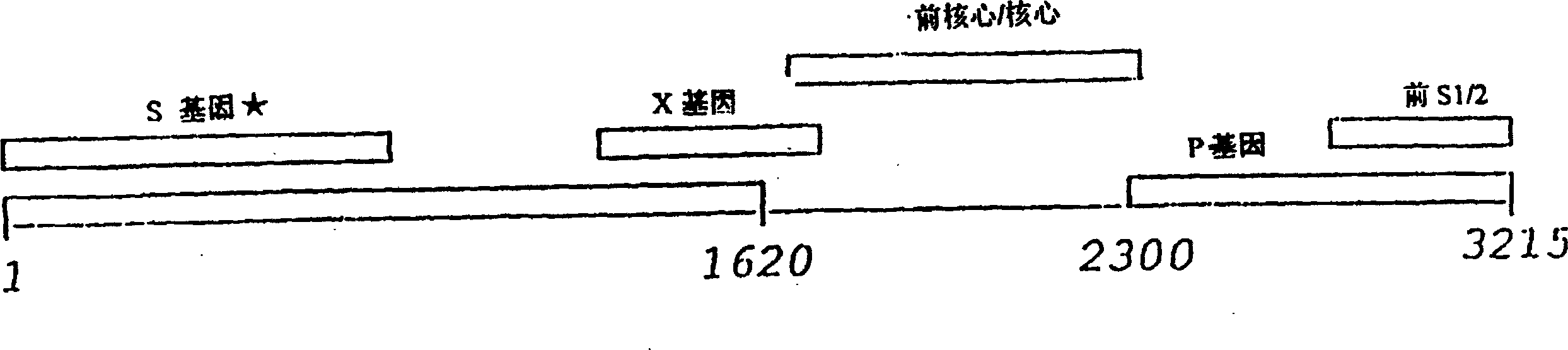 Vaccine-induced hepatitis B viral strain and uses thereof