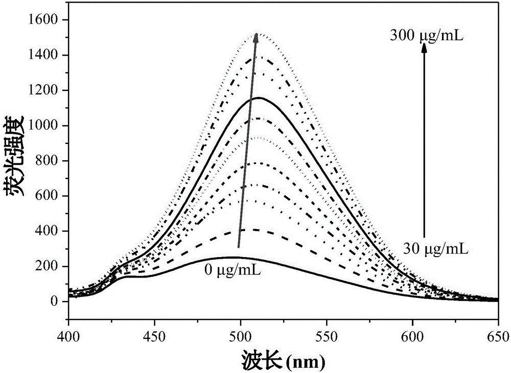 Fluorescent reagent for detecting trace gamma-globulin, as well as preparation method and application thereof