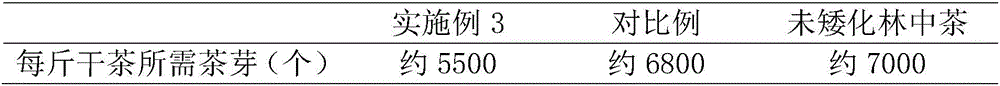 Dwarfing culture method for in-forest tea