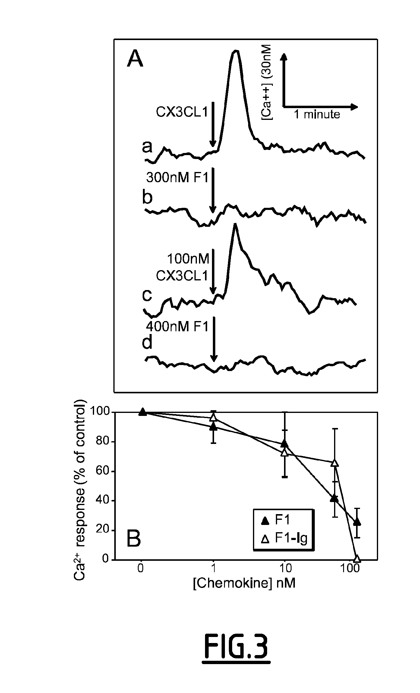 Modulators of the cx3cri receptor and therapeutic uses thereof