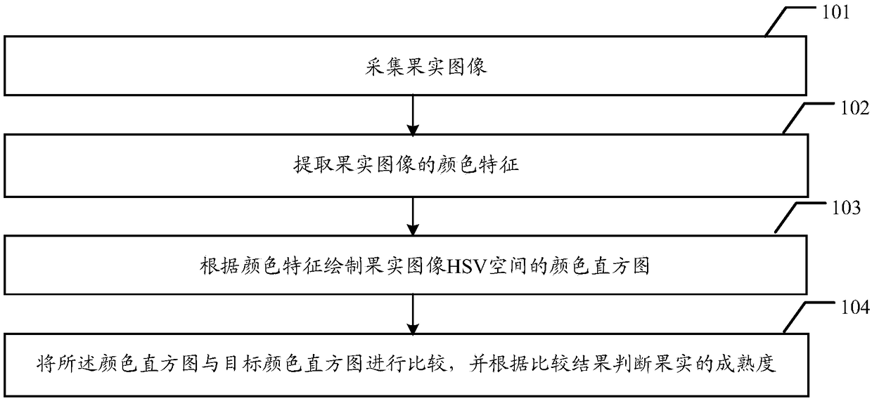 Fruit ripeness degree judgment method and device