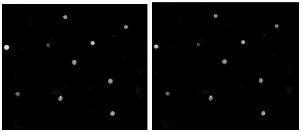 A method for processing immunohistochemical images