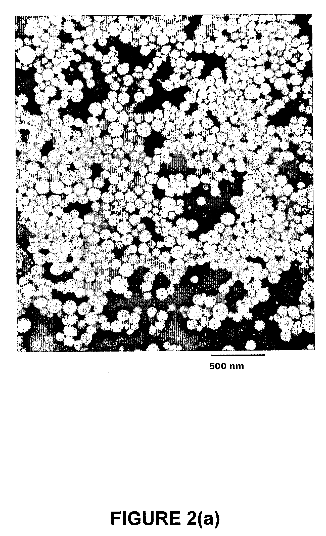 Compositions and Method for Multimodal Imaging