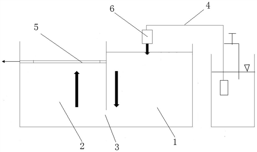 Method for treating escherichia coli in tail water of sewage plant