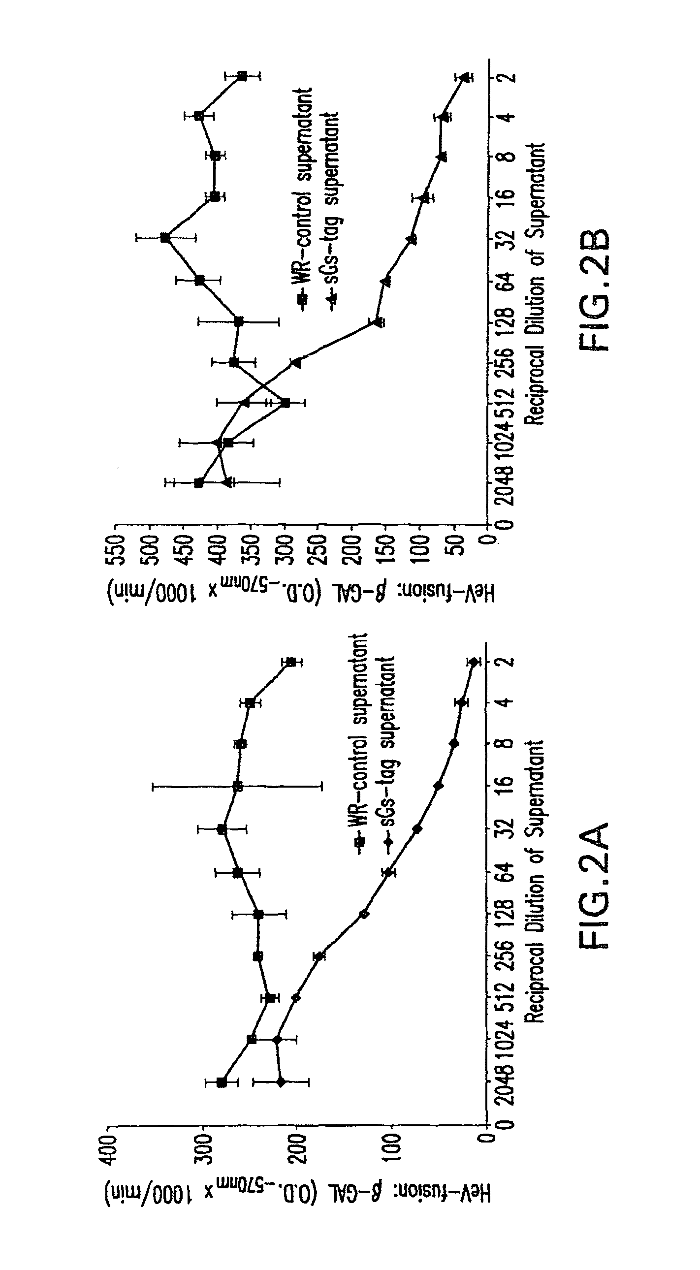 Soluble Forms of Hendra and Nipah Virus G Glycoprotein